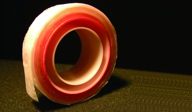 Kota lab, Colorado State University 제공